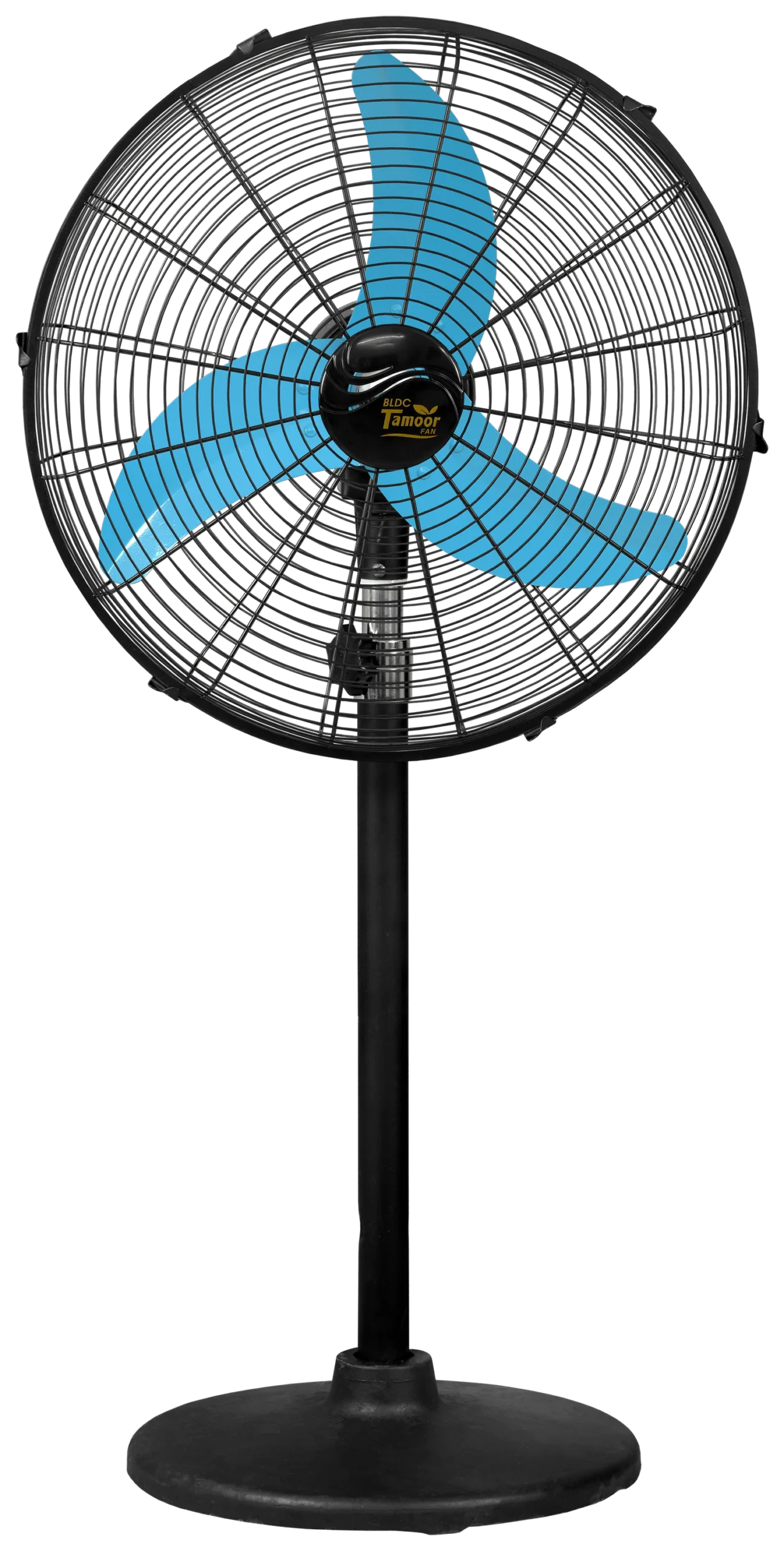 Eco Supreme Model 20" | AC/DC - Image 2