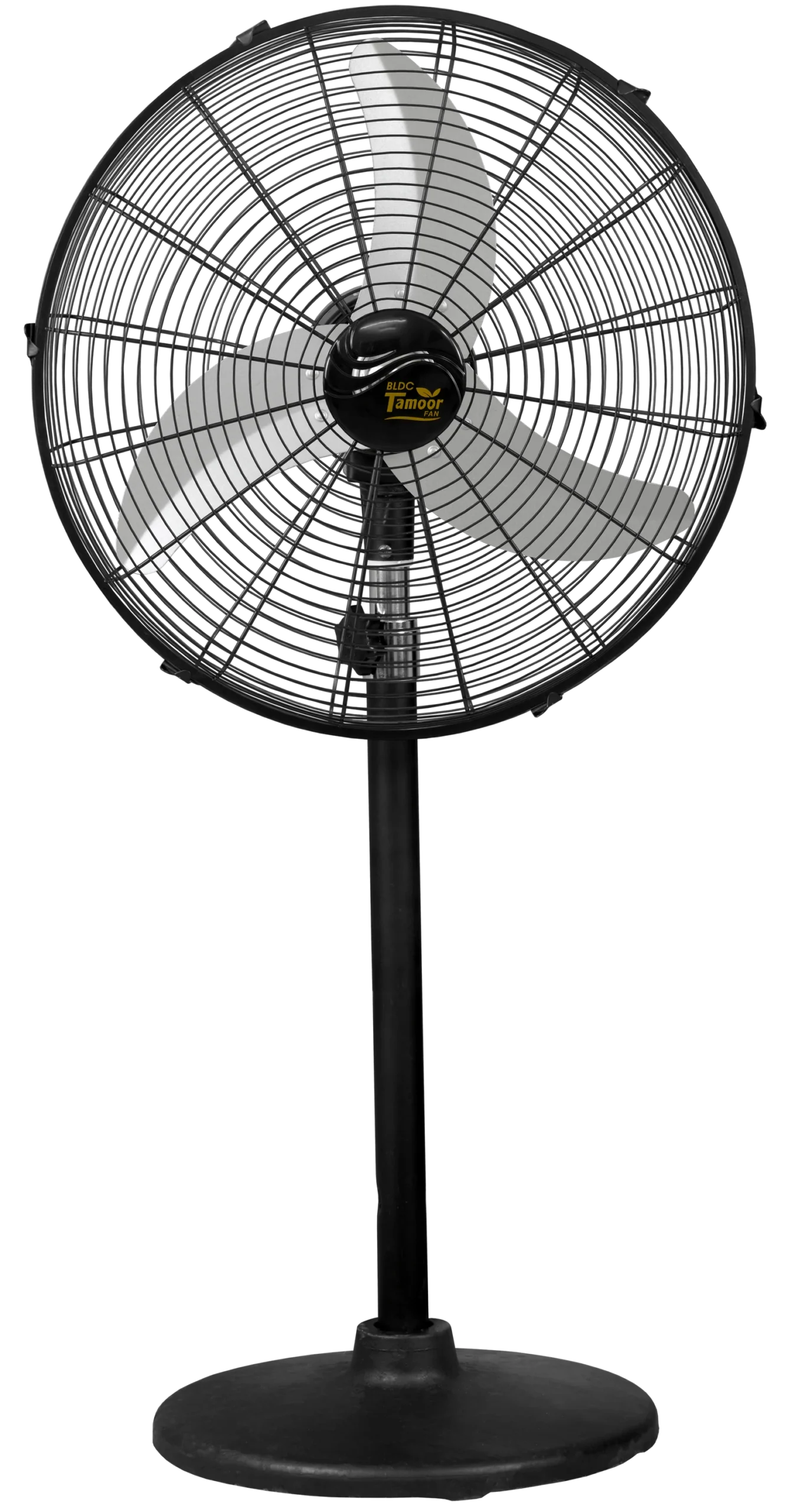 Eco Supreme Model 24" | AC/DC - Image 13