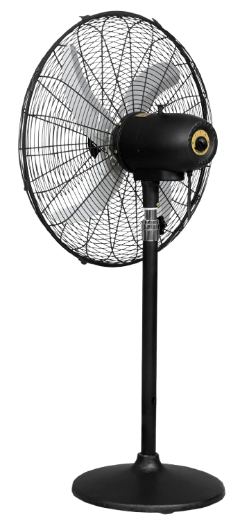 Eco Supreme Model 24" | AC/DC - Image 3