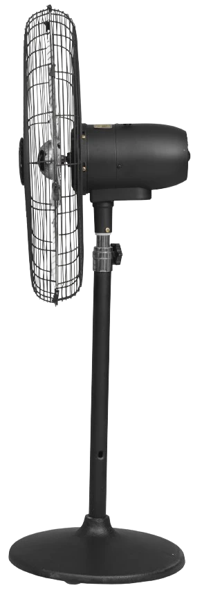 Eco Supreme Model 24" | AC/DC - Image 4