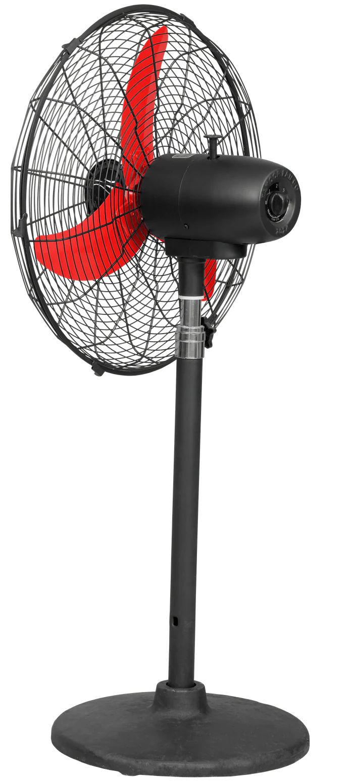 Eco Supreme Model 24" | AC/DC - Image 9