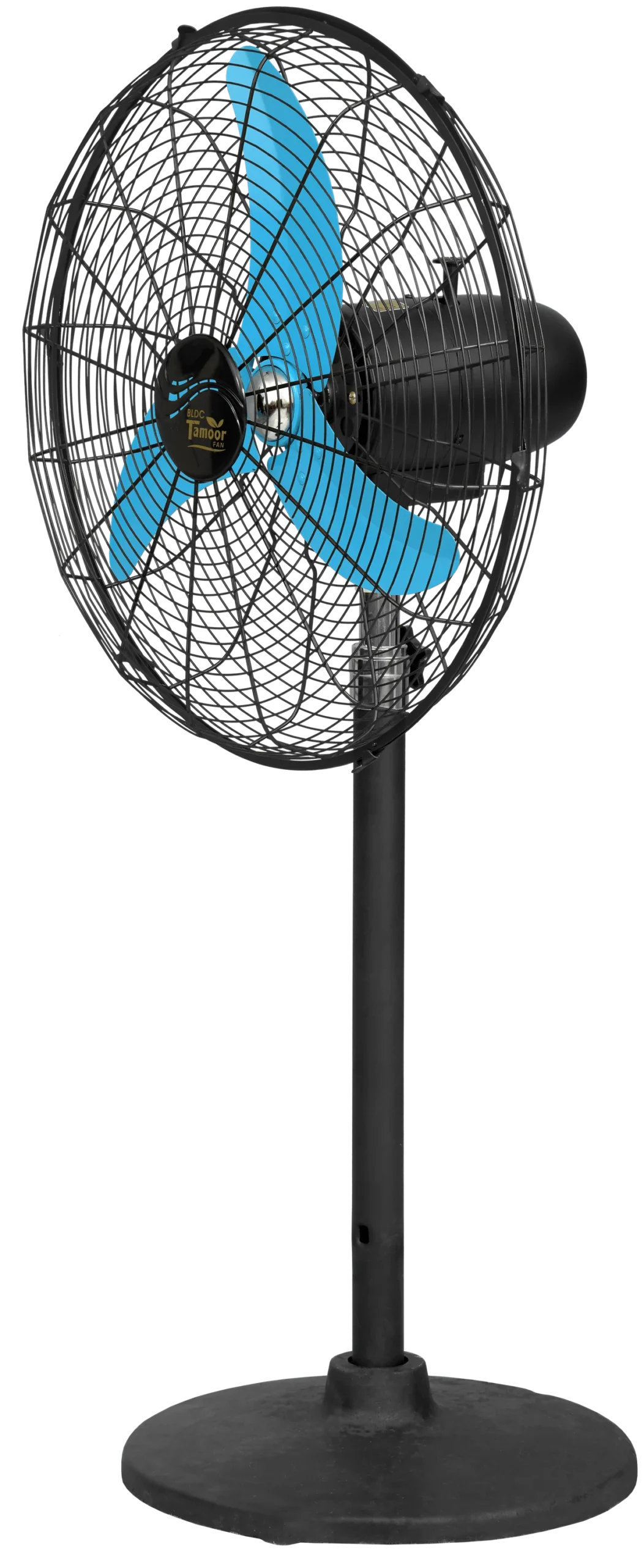 Eco Supreme Model 20" | AC/DC - Image 12