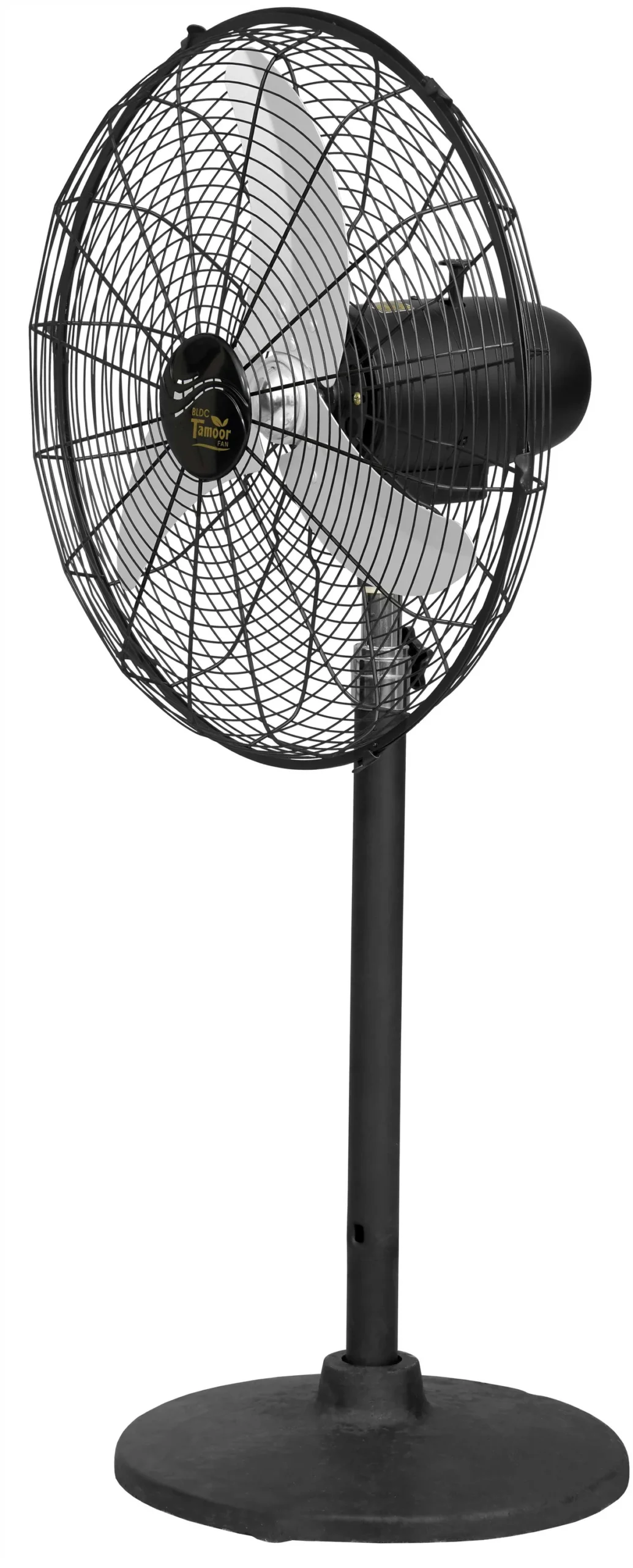 Eco Supreme Model 24" | AC/DC - Image 8