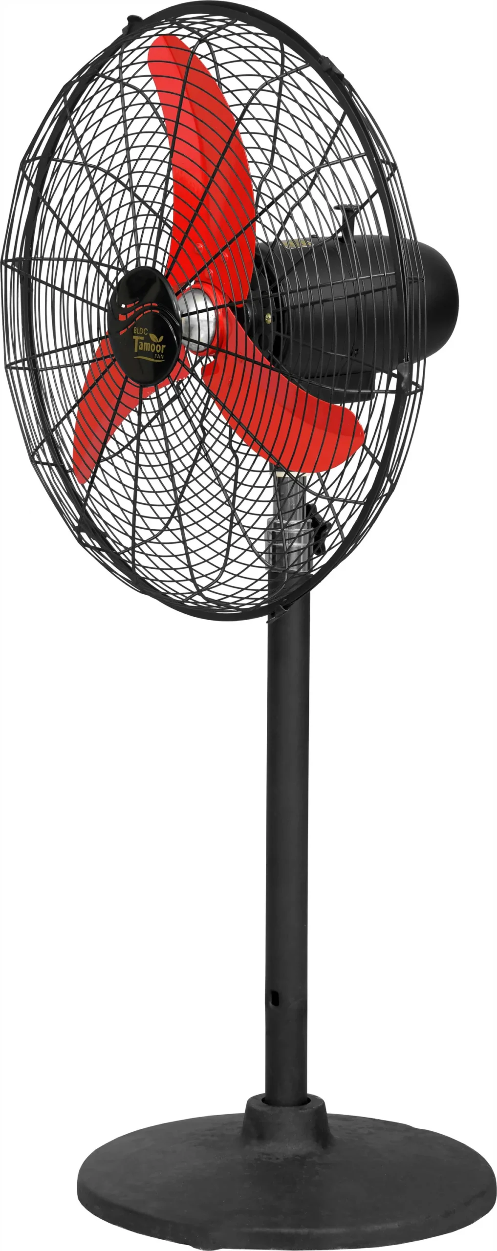 Eco Supreme Model 20" | AC/DC - Image 14