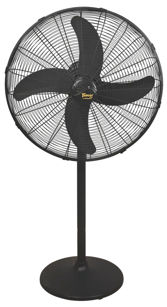 Eco Supreme Model 24" | AC/DC